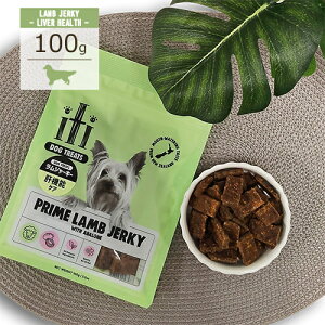 CeB(iti) GAhCg[c [W[L[/̋@\PA/DOG/100g]