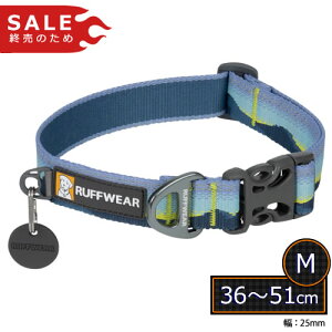 tEFA NbOJ[ [ApCh[(ALPDW)/M(36-51)]