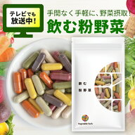【レビュー投稿でプレゼント実施中！】飲む粉野菜〈9つの野菜〉ベジタブルテック 飲む野菜 ビタミン ミネ…