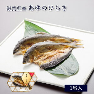 ꌧY  ̂Ђ炫 [ ̓Xނ / H09 ]y   A Ђ炫 J j j j j j Mtg  蕨  v[g т̂ z