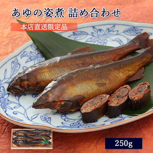 Mtg  ØI ̎p 250g ؔ lߍ킹 Zbg  {X i [ ̓Xނ / A01 ]y   A p ØI ώ j j Mtg 蕨  v[g