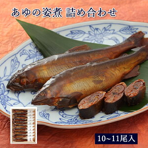 Mtg  ØI ̎p 10`11 ؔ lߍ킹 Zbg [ ̓Xނ / A50 ]y   A p ØI ώ i j j Mtg  蕨  v[g 