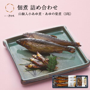 Ε Mtg  ØI R ̎p  lߍ킹 Zbg [ ̓Xނ / KSA28 ]y j j Mtg 蕨  v[g т̂ z