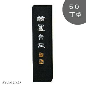 |@Ō`n@|pn@˖n݁@5.0^@AE11-50