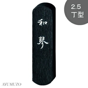 |@Ō`n@ȗpn@aՁ@2.5^@AF5-25