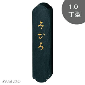 |@Ō`n@ȗpn@݂ނ@1.0^@AF6-10