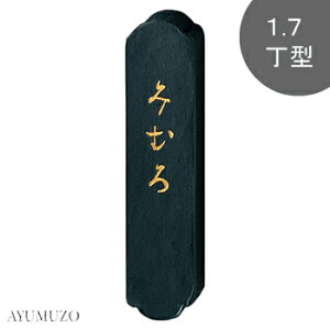 |@Ō`n@ȗpn@݂ނ@1.7^@AF6-17