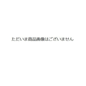 MEFM@x@a@ꍆ@׌N
