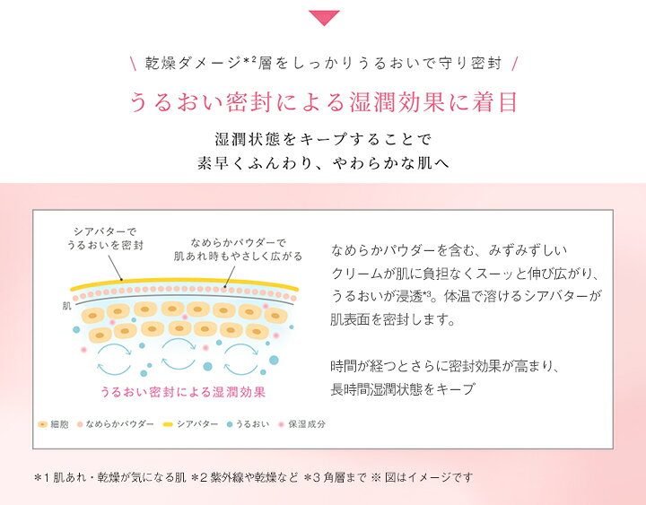 楽天市場】モイストバリアクリーム 30g 肌にとろけるように広がり 