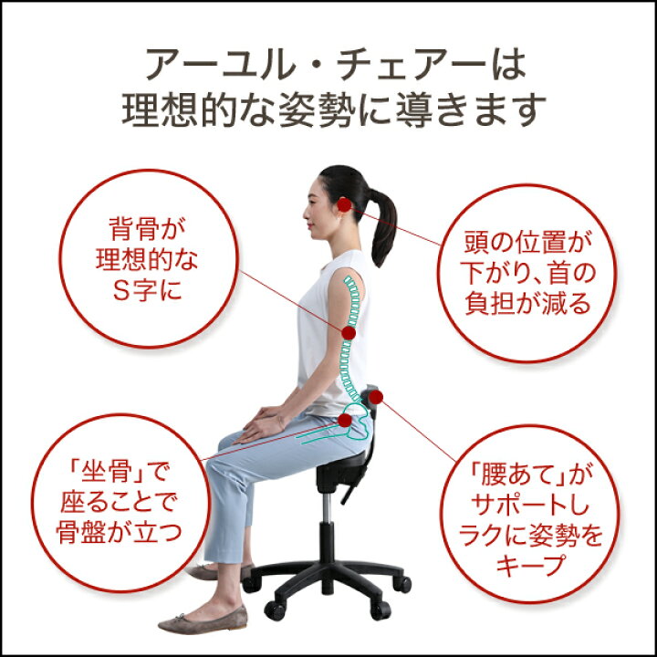 楽天市場】公式 腰痛対策 姿勢矯正 集中力 学習 疲れない 椎間板 