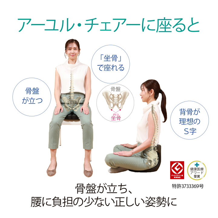 楽天市場】公式 骨盤矯正 座椅子 脊柱管狭窄症 床 クッション 腰痛対策 