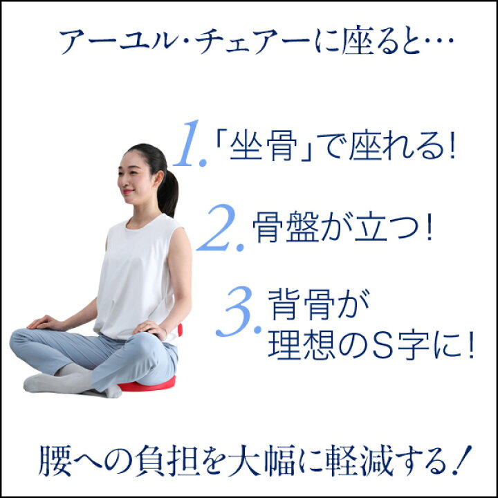 楽天市場】公式 腰痛対策 姿勢矯正 集中力 学習 疲れない 椎間板 