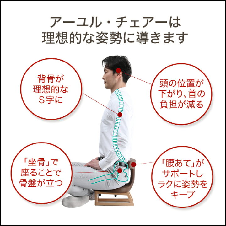 楽天市場】公式 腰痛対策 姿勢矯正 集中力 疲れない 椎間板ヘルニア 