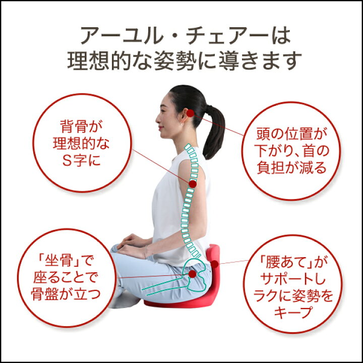 楽天市場】公式 腰痛対策 姿勢矯正 集中力 学習 疲れない 椎間板  