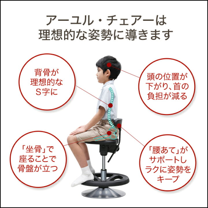 楽天市場】公式 腰痛対策 姿勢矯正 集中力 学習 疲れない 椎間板 