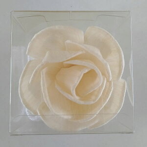 [h fBt[U[ fBt[U[ p  \[Y t[ \t[ nhCht[