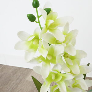  _eCXg KXԕr OXA[g zCg&CgO[iԕtj/CeA Ǌ| A[g A[gpl rO  v[g _ G   Vv