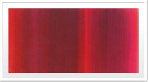 GEۉ iSilkscreen)(YUkEA^[ g-}[^,2005iVNXN[j)/z z iGEǊ|A[ǵArO⌺ւɂ߂̃CeAB킢Ǐ