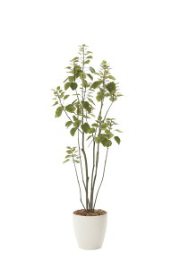 G}ϗtA tBJXu`c[1.7ktA^Cv(nCTCY)l/G} ϗtA tFCNO[  Ӓ JXj JƏj aj  A[gt[   5LT