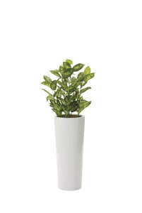 yI|Cg100obNzG}ϗtA fBtFoLA1.4ktA^Cv(nCTCY)l/G} ϗtA tFCNO[  Ӓ JXj JƏj aj  A[gt[