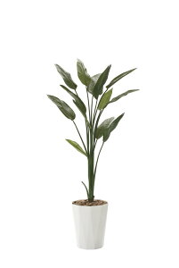 yX[p[SALE10OFFzG}ϗtA Xg`A1.6ktA^Cv(nCTCY)l/G} ϗtA tFCNO[  Ӓ JXj JƏj aj  A[gt[  