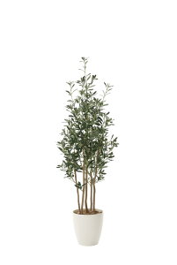 yX[p[SALE10OFFzG}ϗtA I[u1.6ktA^Cv(nCTCY)l/G} ϗtA tFCNO[  Ӓ JXj JƏj aj  A[gt[  