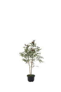 G}ϗtA V1.0ktA^Cv(nCTCY)l/G} ϗtA tFCNO[  Ӓ JXj JƏj aj  A[gt[   5LTCY