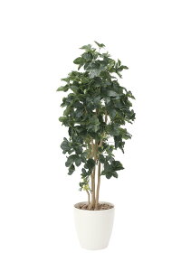 yX[p[SALE10OFFzG}ϗtA VFt1.8ktA^Cv(nCTCY)l/G} ϗtA Ex[^ tFCNO[  Ӓ JXj JƏj aj  A[gt