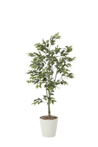 G}ϗtA tBJXc[1.5ktA^Cv(nCTCY)l/G} ϗtA Ex[^ tFCNO[  Ӓ JXj JƏj aj  A[gt[  