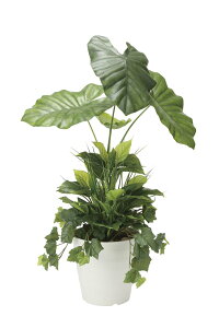 G}ϗtA ^[t90A͕tktA^Cv(~hTCY)l/G} ϗtA Ex[^ tFCNO[  Ӓ JXj JƏj aj  A[gt[  