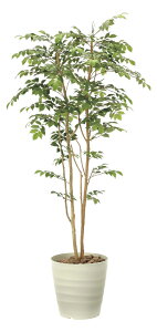 yX[p[SALE10OFFzG}ϗtA }EeAbV1.8 ktA^Cvl CeA A[gO[  v[g ɏ   Mtg rO  Lb` ͂