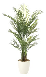 K[fO[ AJp[1.5(|) kK[f^Cvl ϗtA  Mtg j v[g A[gO[ ͂Ȃ A O JƏj JXj X W zj  5LT