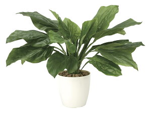 キッチン 造花 観葉植物の人気商品 通販 価格比較 価格 Com