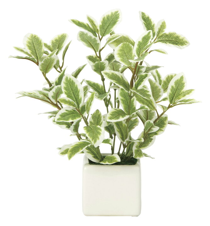 楽天市場 光触媒観葉植物 ミニリーフg W テーブルタイプ インテリア リビング アートグリーン ギフト プレゼント おしゃれ 玄関 キッチン 造花 枯れない 御祝 引越祝 部屋に飾る 緑 展示場 贈答 Mサイズ 絵画 壁飾り 風景専門店あゆわら