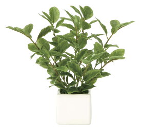 光触媒観葉植物 ミニリーフ 〔テーブルタイプ〕 インテリア リビング アートグリーン おしゃれ ギフト プレゼント 玄関 キッチン 部屋に飾る 造花 御祝 引越祝 枯れない 緑 展示場 贈答 Mサイズ