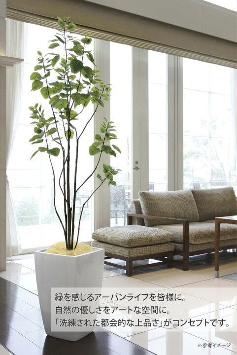 楽天市場】光触媒観葉植物 アーバンブランチツリー1.8 〔フロアタイプ 