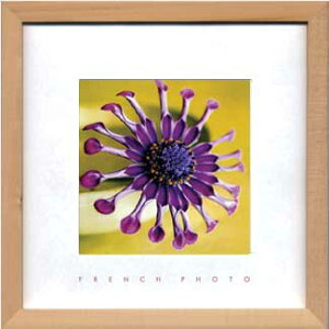 A[gt[ 䂤pPbg French Photography Violet,Green(t`tHgOtB[ oCIbgAO[)/z z i G G Ǌ| A[g rO  gC CeA 