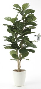 G}ϗtA JVoS1.35ktA^Cv(nCTCY)l/G} ϗtA Ex[^ tFCNO[  Ӓ JXj JƏj aj  A[gt[   5