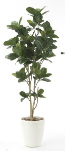 ���G�}�ϗt�A�� �p���̖�1.25�k�t���A�^�C�v(�n�C�T�C�Y)�l/���G�} �ϗt�A�� �E���x���[�^ �t�F�C�N�O���[�� �� �Ӓ��� �J�X�j�� �J�Əj�� �a���j�� ���� �A�[�g�t���[�� ������� ���� 5L�T