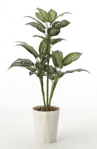 G}ϗtA fBtFoLA90ktA^Cv(nCTCY)l/G} ϗtA Ex[^ tFCNO[  Ӓ JXj JƏj aj  A[gt[  