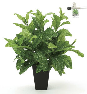 yX[p[SALE10OFFzG}ϗtA ANoLke[u^Cvl/G} ϗtA Ex[^ tFCNO[  Ӓ JXj JƏj aj  A[gt[  