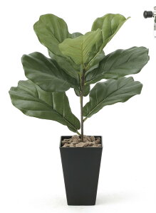 G}ϗtA JVoSke[u^Cvl/G} ϗtA Ex[^ tFCNO[  Ӓ JXj JƏj aj  A[gt[   3LTCY