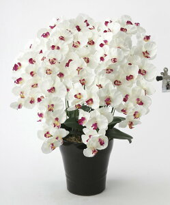 A[gt[  v~AӒ7{W/ABktA^Cvl/G} ϗtA Ex[^ tFCNO[  Ӓ JXj JƏj aj  A[gt[  