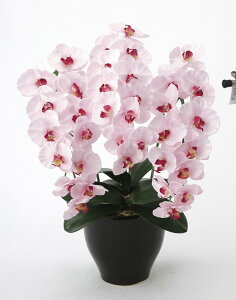 A[gt[  v~AӒPktA^Cvl/G} ϗtA Ex[^ tFCNO[  Ӓ JXj JƏj aj  A[gt[   4LTC