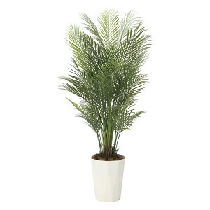 G}ϗtA AJp[1.7(|) ktA^Cvl CeA tFCNO[  A[gO[  rO A v[g Mtg  Lb` ɏ j X