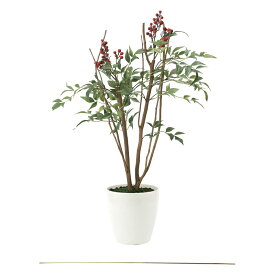 楽天市場 南天 鉢植え 花 ガーデン Diy の通販