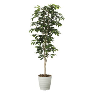 G}ϗtA xW~1.8 ktA^Cvl CeA tFCNO[  A[gO[  rO A v[g Mtg  Lb` ɏ j X It