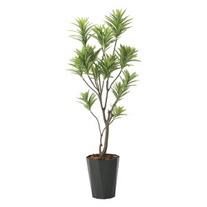 G}ϗtA tbVhZi1.8 ktA^Cvl CeA tFCNO[  A[gO[  rO A v[g Mtg  Lb` ɏ j X