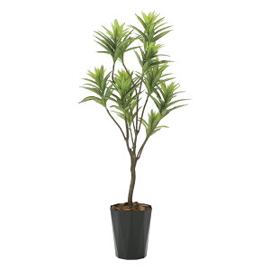 G}ϗtA tbVhZi1.45 ktA^Cvl CeA tFCNO[  A[gO[  rO A v[g Mtg  Lb` ɏ j X