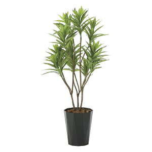 G}ϗtA tbVhZi1.2 ktA^Cvl CeA tFCNO[  A[gO[  rO A v[g Mtg  Lb` ɏ j X